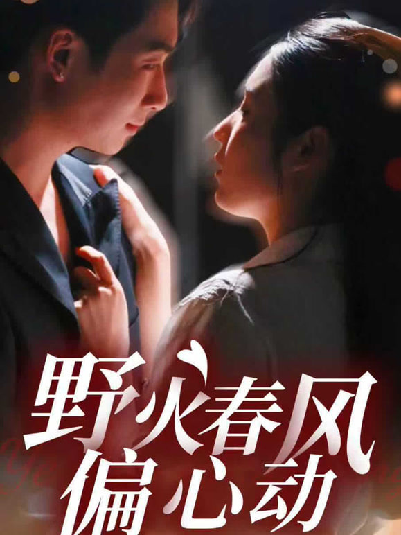 藏海传
